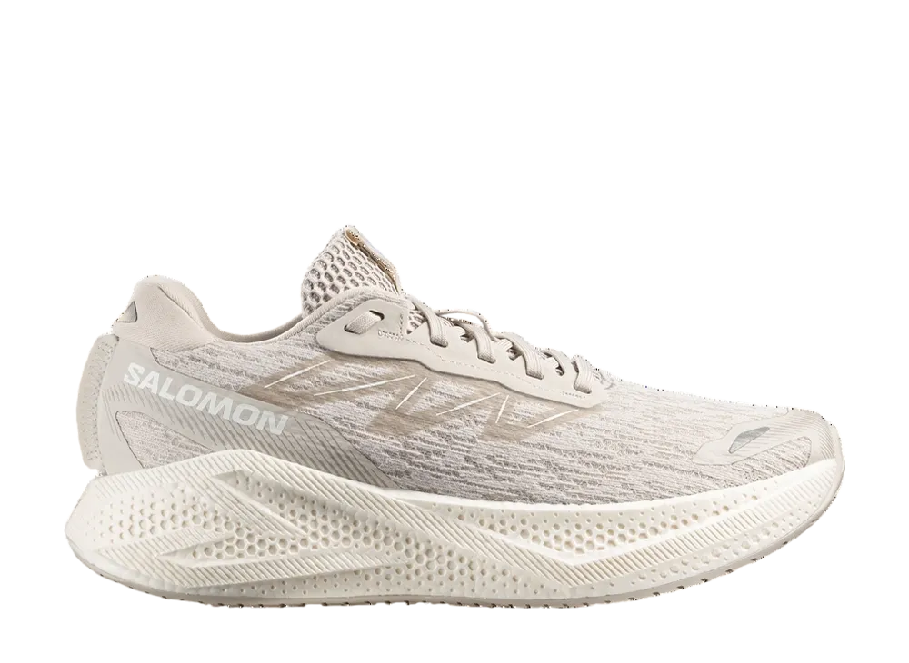 サロモン エアロ グライド4 "シルバークラウド"