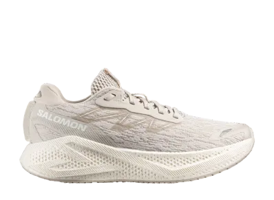 Salomon Aero Glide 4 "Silver Cloud"