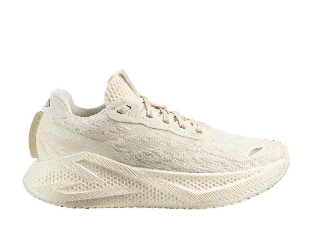 サロモン ウィメンズ エアロ グライド4 "バニラアイス"