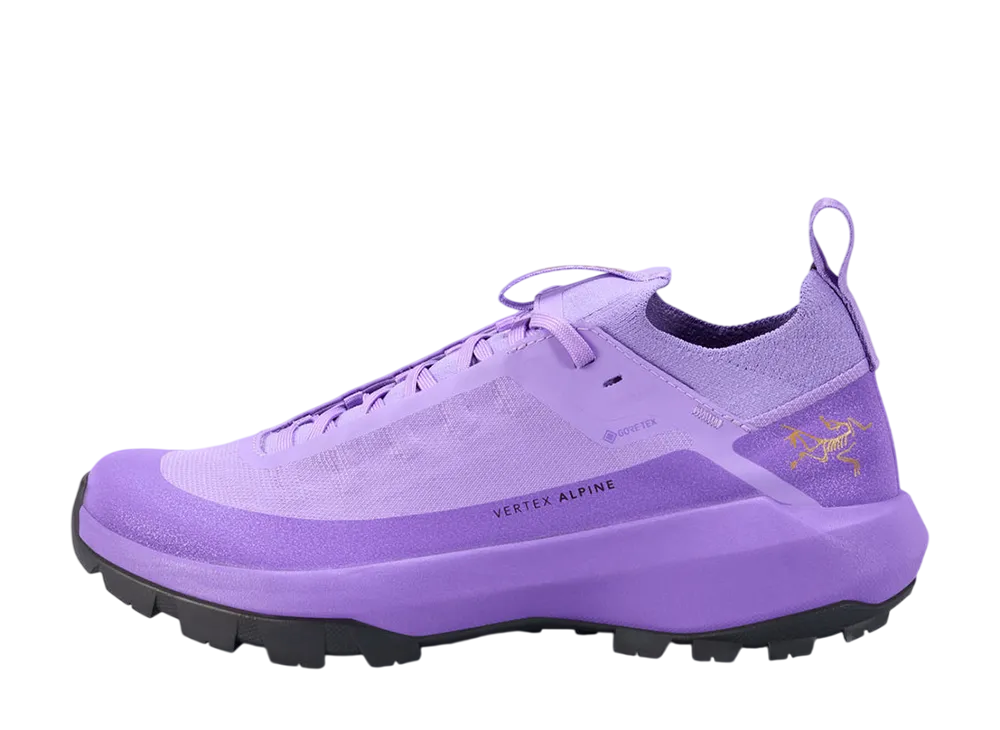 ARC'TERYX Women's Vertex Alpine GORE-TEX "Aster/Dk Aster"