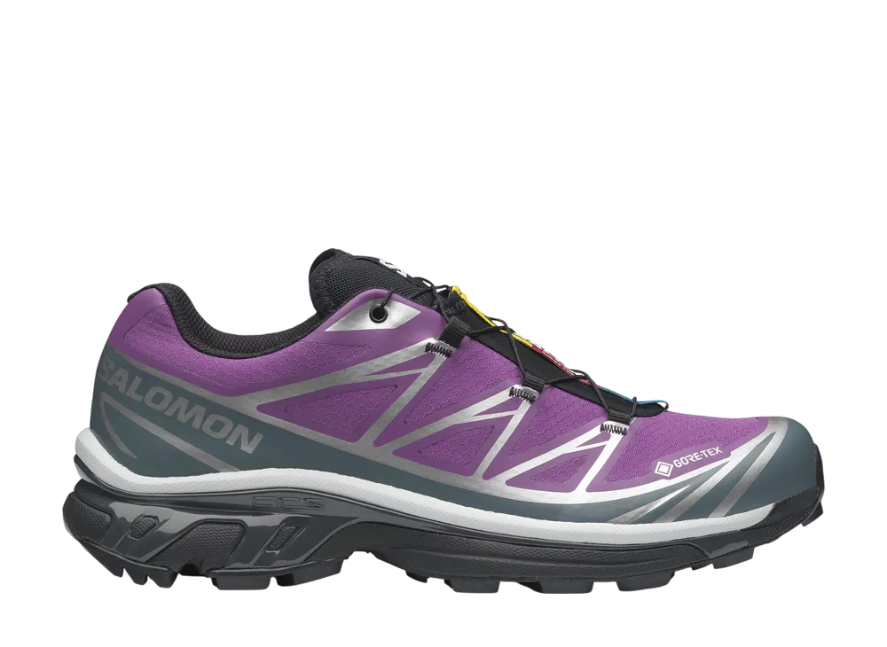 サロモン XT-6 ゴアテックス "コンコードグレープ/ストーミーウェザー"