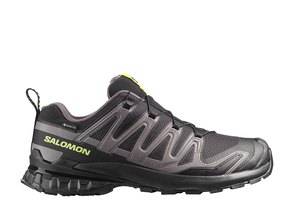 Salomon XA Pro 3D V9 GORE-TEX "Black/Dark Gull Gray"