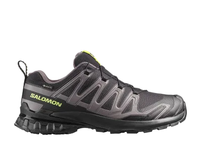 Salomon XA Pro 3D V9 GORE-TEX "Black/Dark Gull Gray"