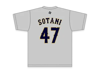 MIZUNO 2026WBC Ryuhei Sotani 47 Name Number T-Shirt "Grey"