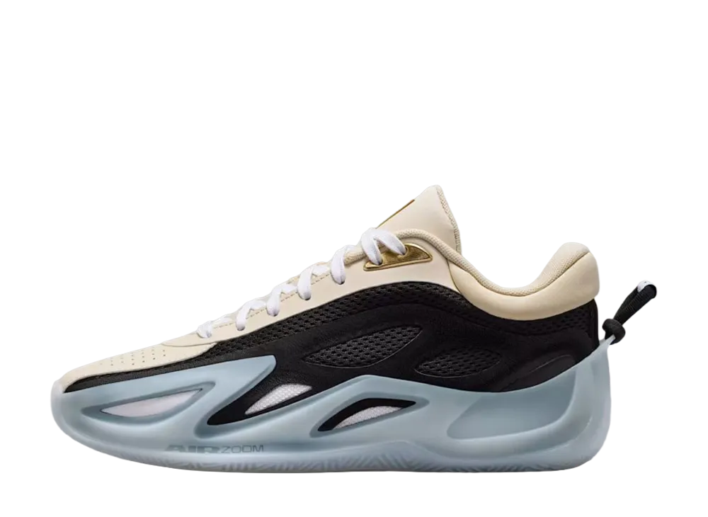 ナイキ ジョーダン エアー シリーズ2 "WNBA"