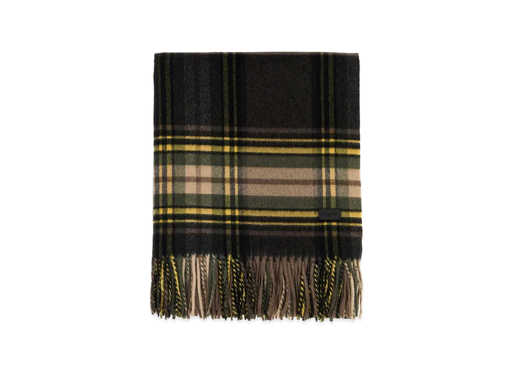 Saint Laurent Women's Embroidered Cashmere Blend Scarf "Checked"