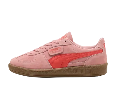 Puma Palermo "Pink"