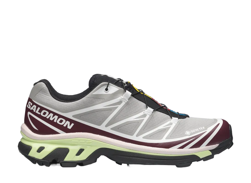 サロモン XT-6 ゴアテックス "パロマ/マルーンバナー"