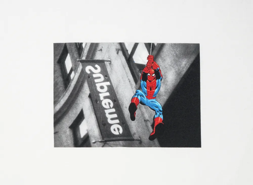 Supreme x Spider-Man Tee 