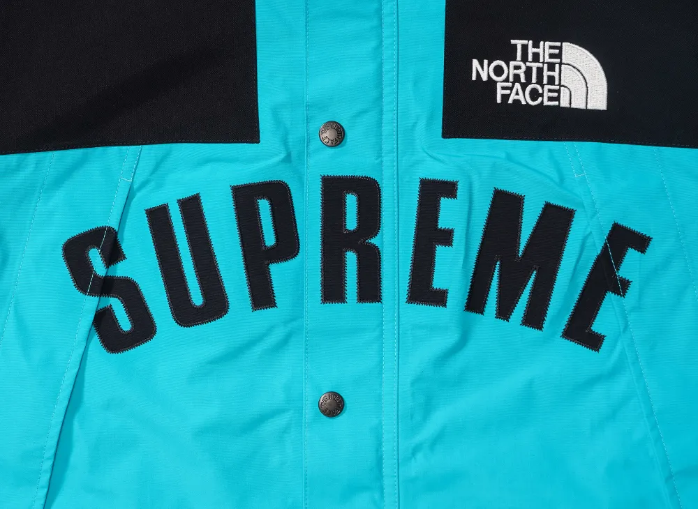 Supreme x The North Face Arc Logo Mountain Parka 