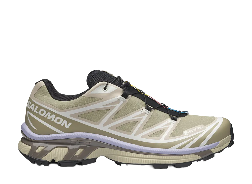 サロモン XT-6 ゴアテックス "ユーカリプタス/シルバーセージ"