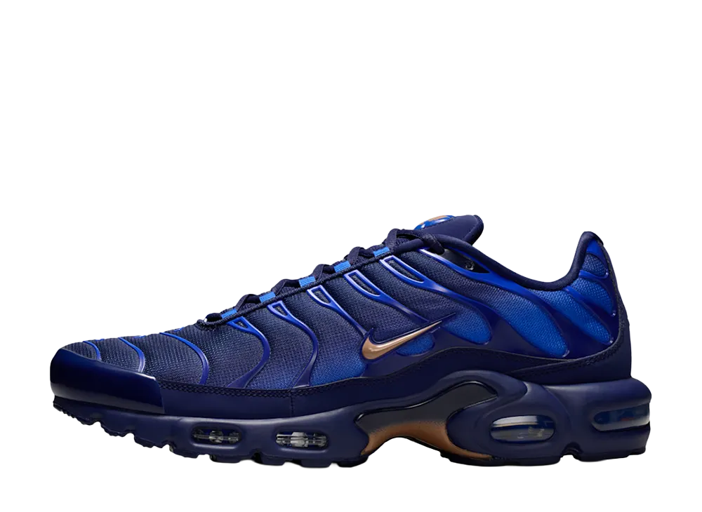 ナイキ エアマックスプラス OG " ブラッケンドブルー/ゲームロイヤル"