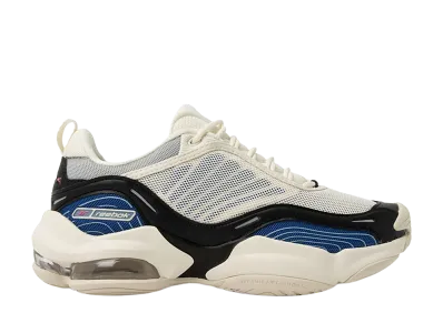 Reebok DMX Series 3000 "Chalk/Blue"