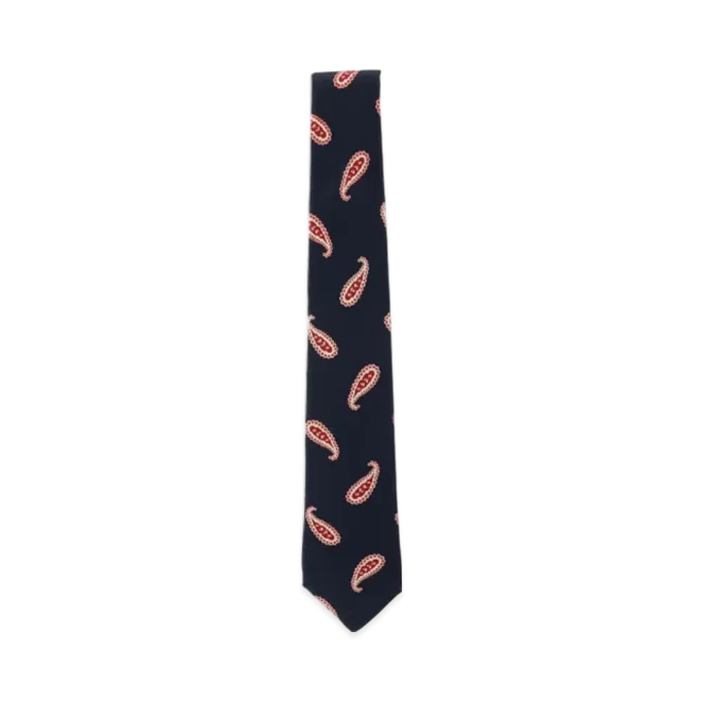 BEAMS Silk Tie Paisley Print "Navy"
