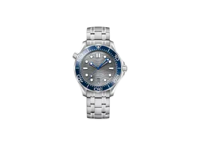 OMEGA Seamaster Diver 300M Co-Axial Master Chronometer 42MM "Stainless Steel/Gray" 210.30.42.20.06.001