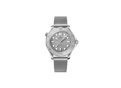 OMEGA Seamaster Diver 300M Co-Axial Master Chronometer 42MM "Stainless Steel/Gray" 210.30.42.20.06.002