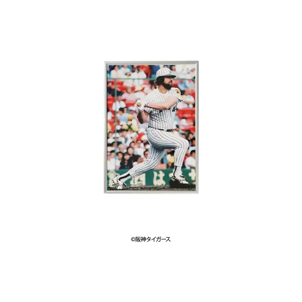 阪神タイガース90周年記念 \ SANKEI SPORTS TIGERS LEGENDS Photo Frame A4 ver. No.2 "MULTI"