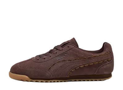 Puma Women's Arizona Lace "Chocolate Brown/Caramel Latte"