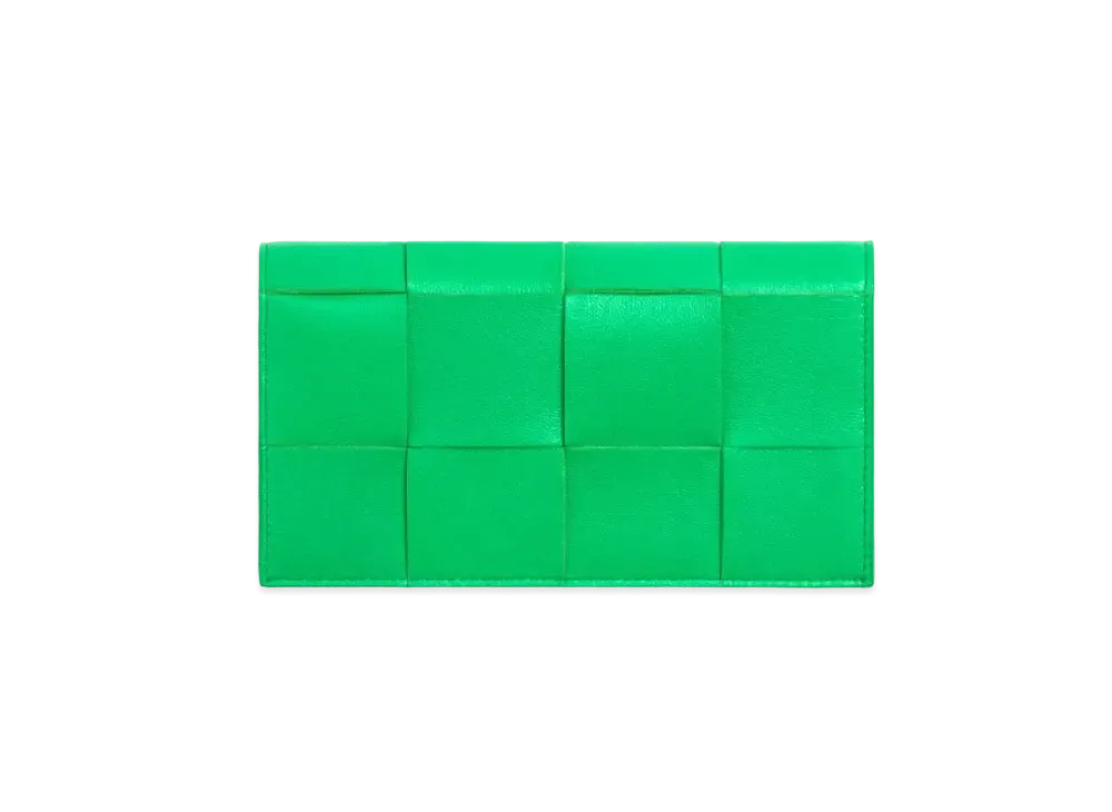 Bottega Veneta Glasses Case "Parakeet"