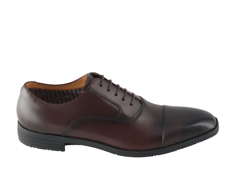 REGAL Straight Tip Calf Leather(Ecco Leather) "Dark Brown" 21BLBF