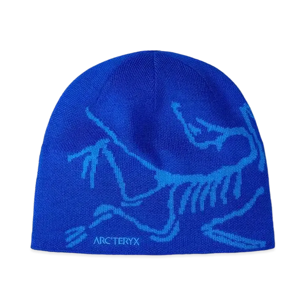 ARC'TERYX Bird Head Toque "Vitality/Fluidity"