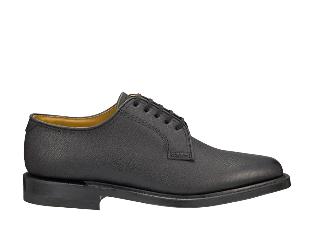 REGAL Plain Toe Calf Leather "Black" 2236NA EE