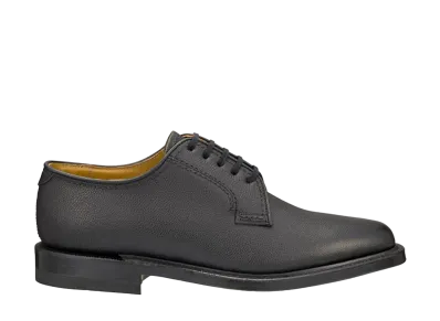 REGAL Plain Toe Calf Leather "Black" 2236NAEB EEE