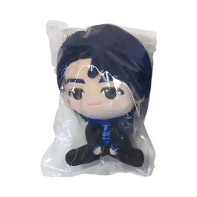 BANDAI "Ichiban Kuji" -Mrs. GREEN APPLE MAGICAL WINTER- A Prize Plush Mascot Wakai Hiroto
