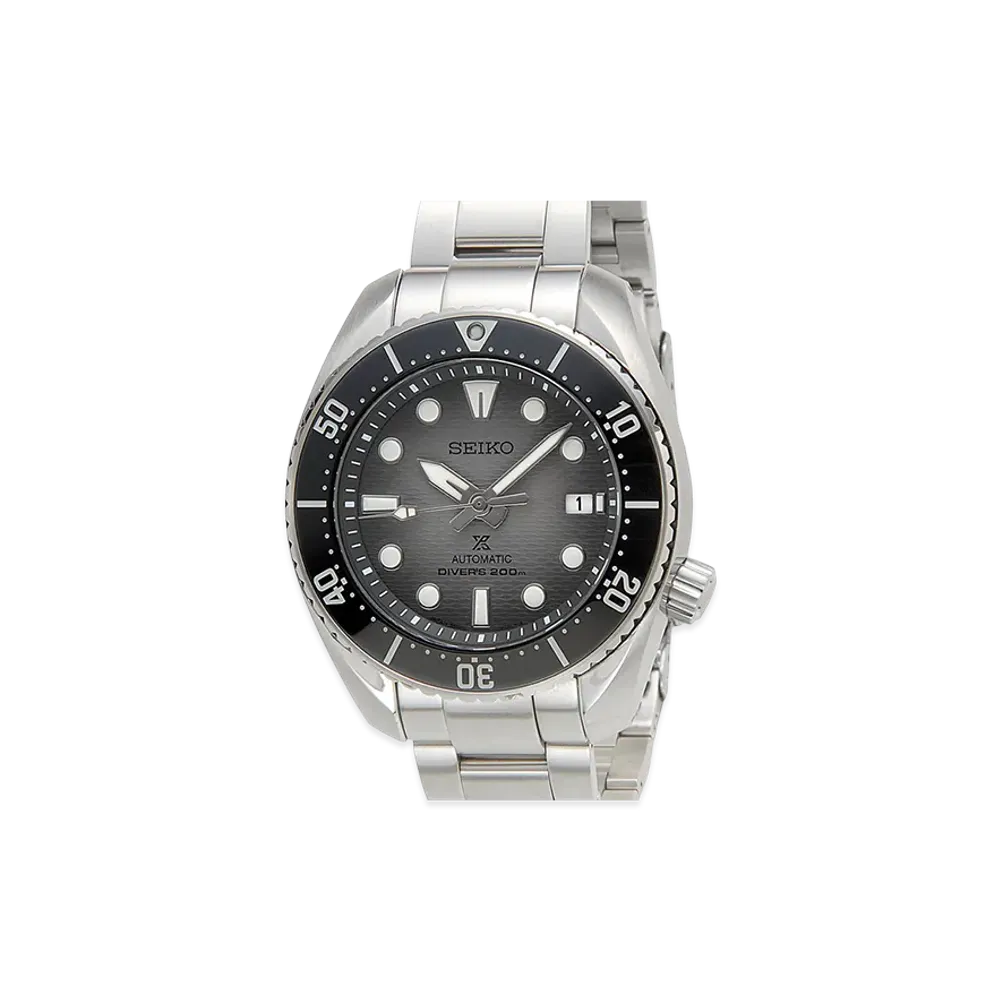 SEIKO Watch "Silver"