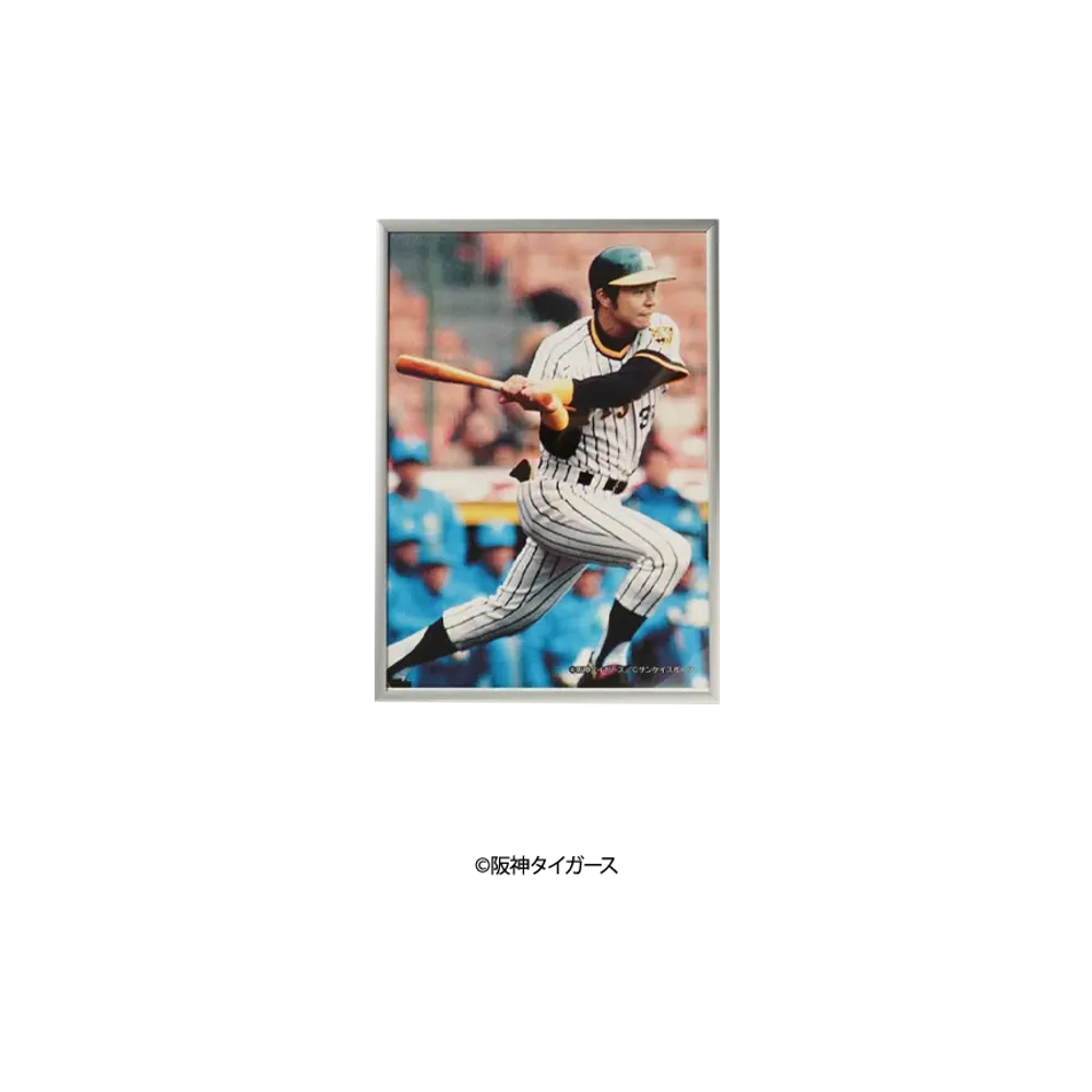 阪神タイガース90周年記念 \ SANKEI SPORTS TIGERS LEGENDS Photo Frame A4 ver. No.7 "MULTI"