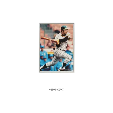 阪神タイガース90周年記念 \ SANKEI SPORTS TIGERS LEGENDS Photo Frame A4 ver. No.7 "MULTI"