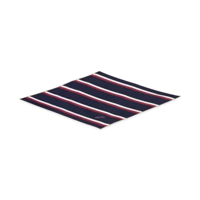 Alexander McQUEEN College Stripe Rosange Scarf "Navy/Bordeaux"