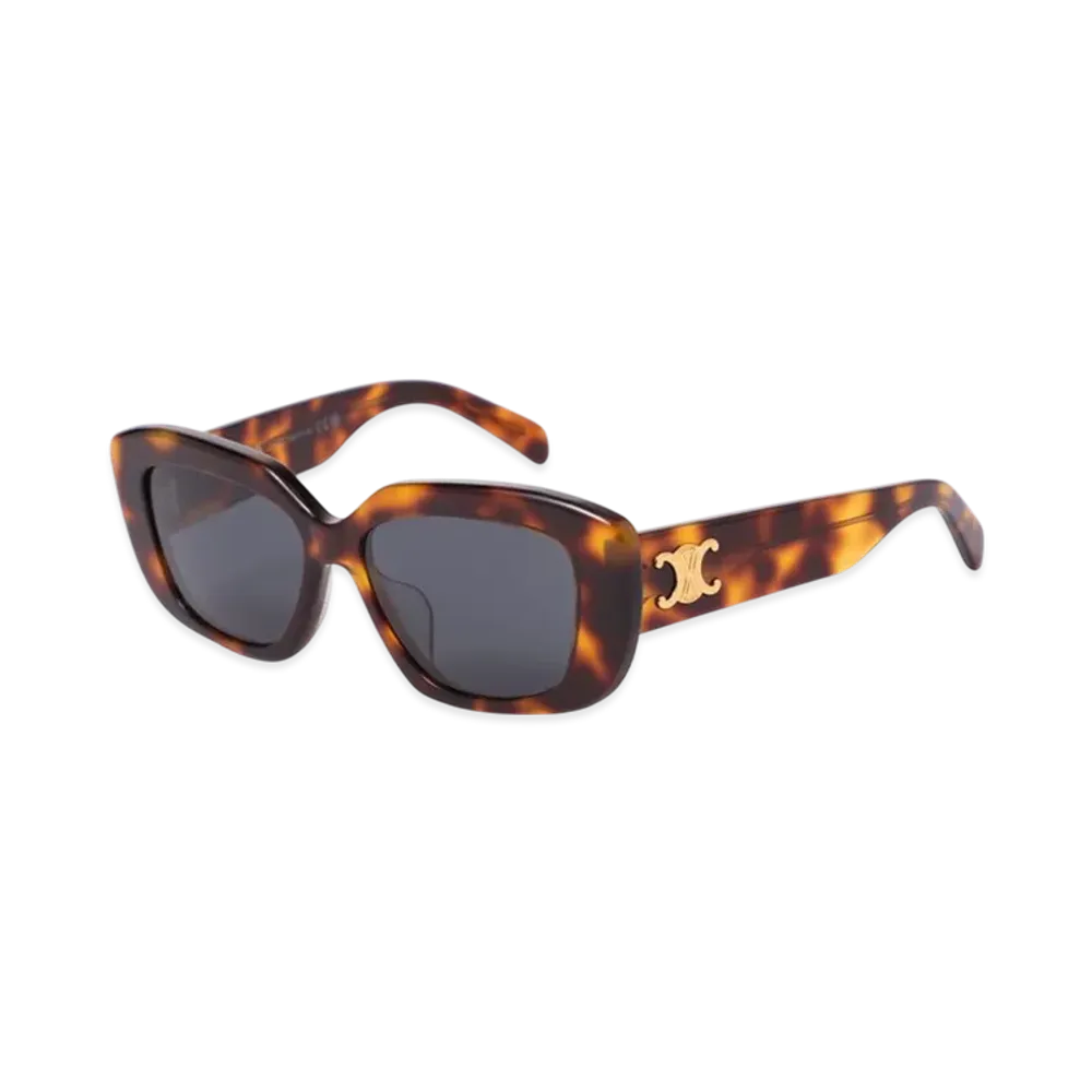 CELINE Triomphe 04 "Darkhavana"