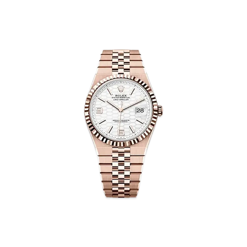 ROLEX Land-Dweller 40mm Everose Gold 127335 "Intense White"