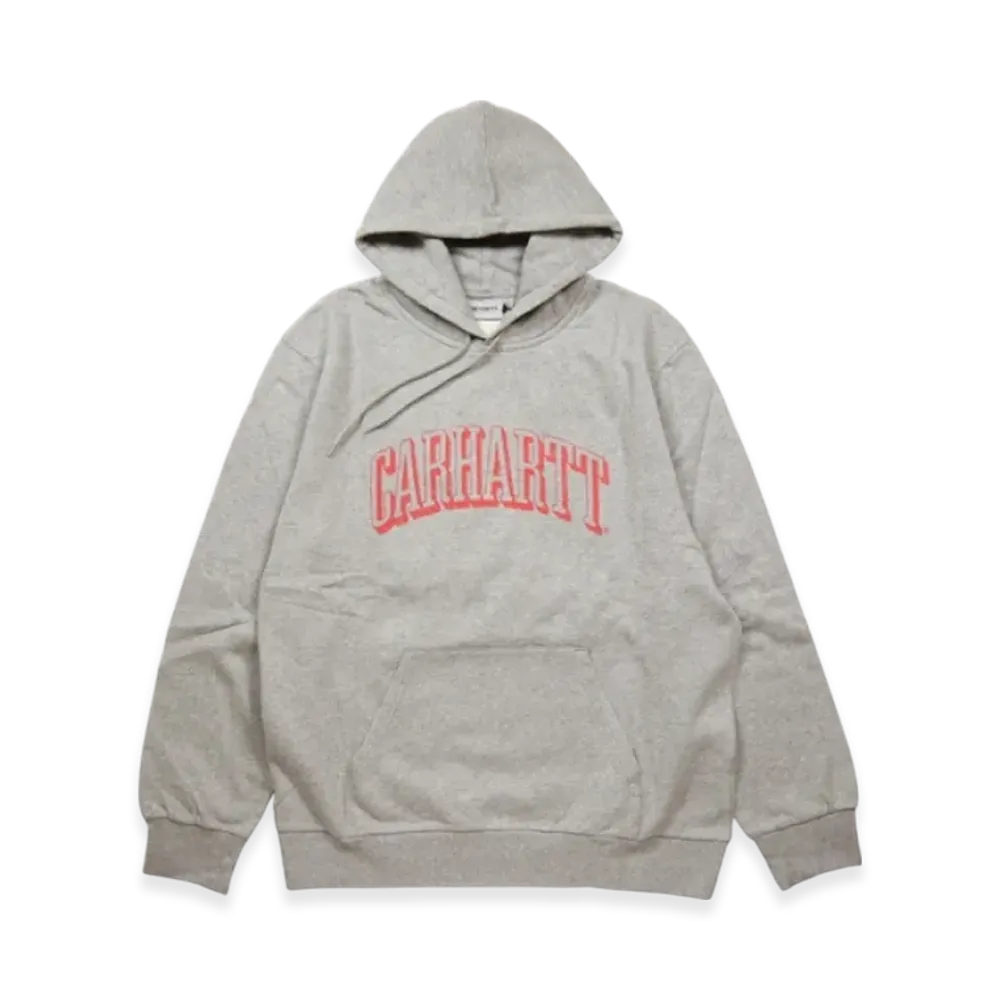 Carhartt WIP Hooded Scrawl Sweatshirt "Grey"
