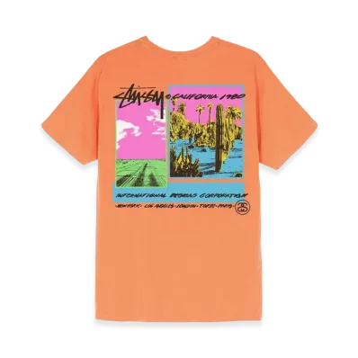Stussy Palm Desert Tee "Neon Orange"