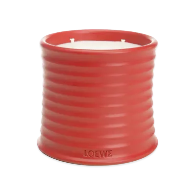 LOEWE Medium Tomato Leaves Candle "Red"