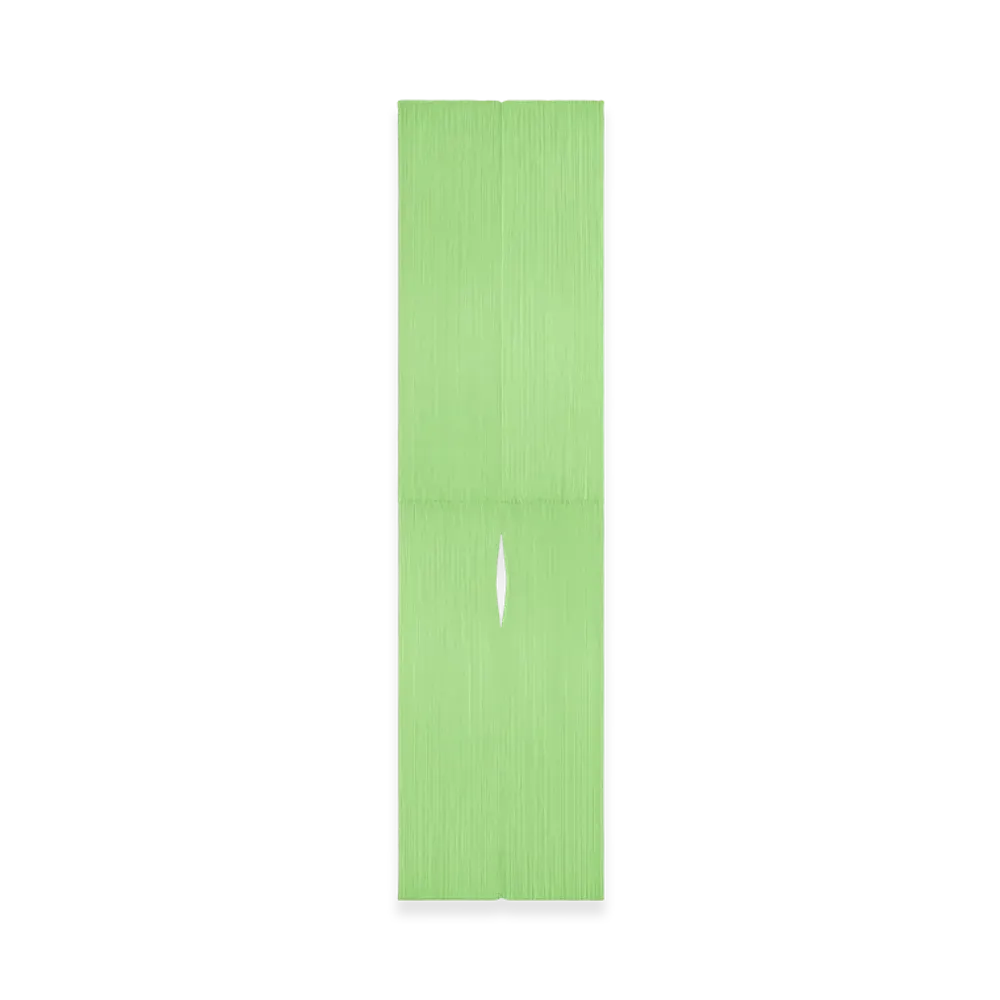 PLEATS PLEASE ISSEY MIYAKE Colorful Madame-T "Light Green"