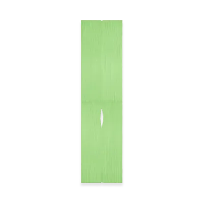 PLEATS PLEASE ISSEY MIYAKE Colorful Madame-T "Light Green"