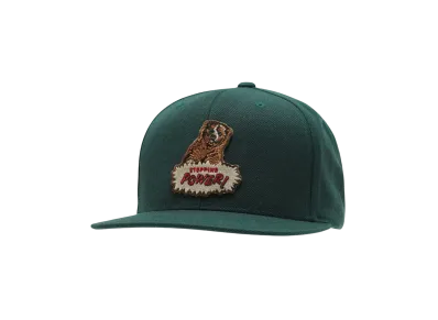 MASSES FULL PANEL CAP BEER "GREEN"