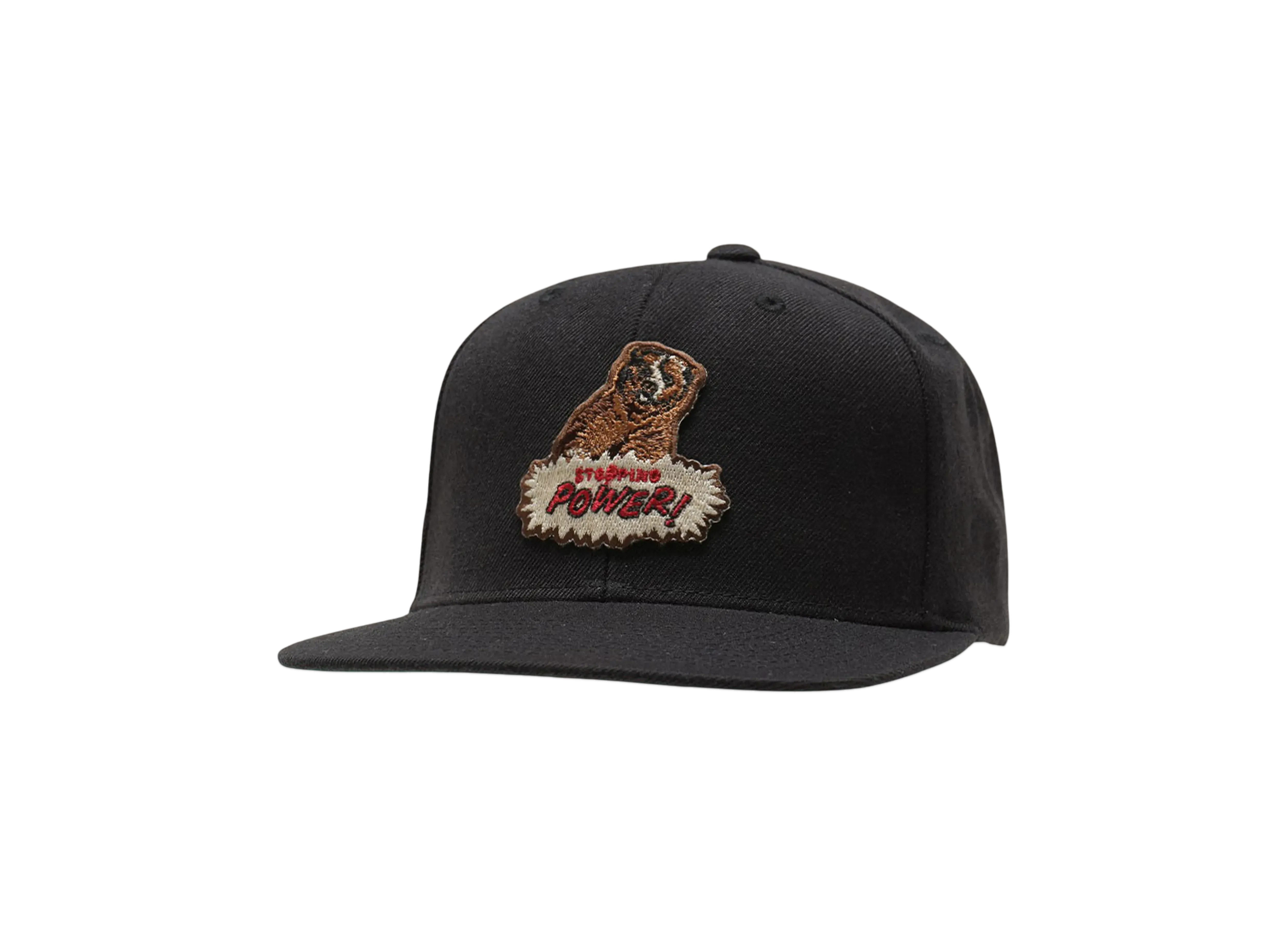 MASSES FULL PANEL CAP BEER "BLACK"