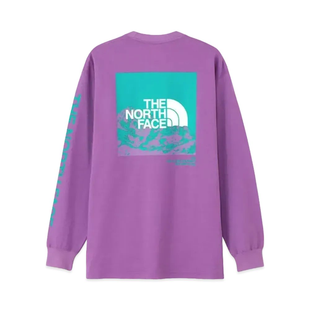 The North Face Long Sleeve Sleeve Graphic Tee "Aubagene"