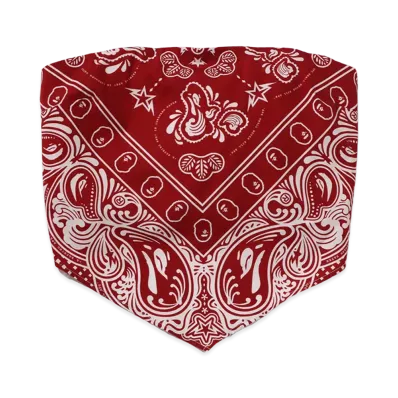 A BATHING APE Women's Paisley Pattern Bandana Scarf Top "Red"