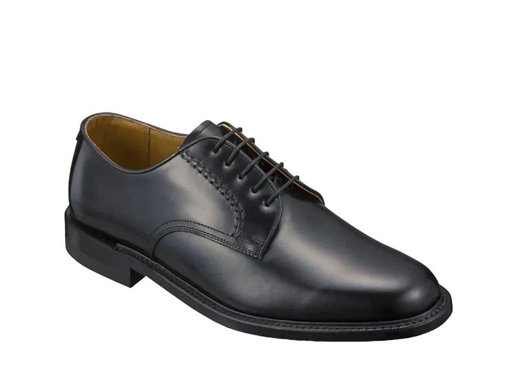 REGAL Plain Toe Calf Leather "Black" 2504BBEC EE