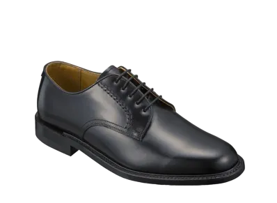 REGAL Plain Toe Calf Leather "Black" 2504BBEC EE