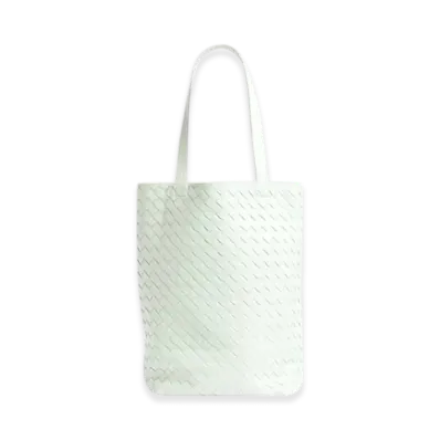 Bottega Veneta Small Intrecciato North-South Tote "Glacier"