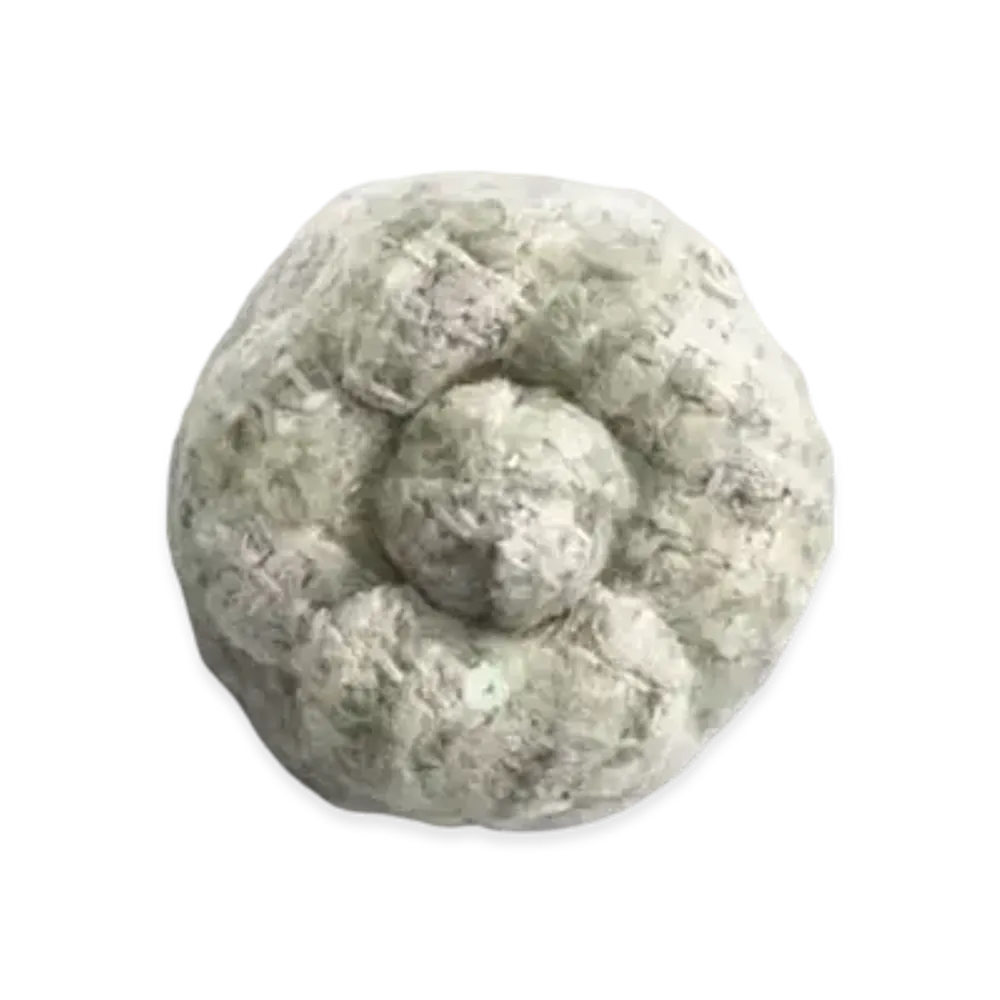 CHANEL Camellia Glittered Tweed "Green/Beige/Ecru"