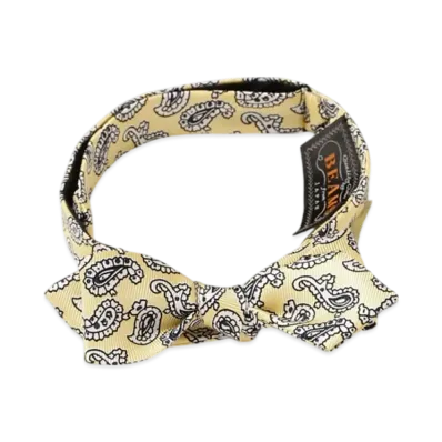 BEAMS Silk Bow Tie Paisley Print "Yellow"