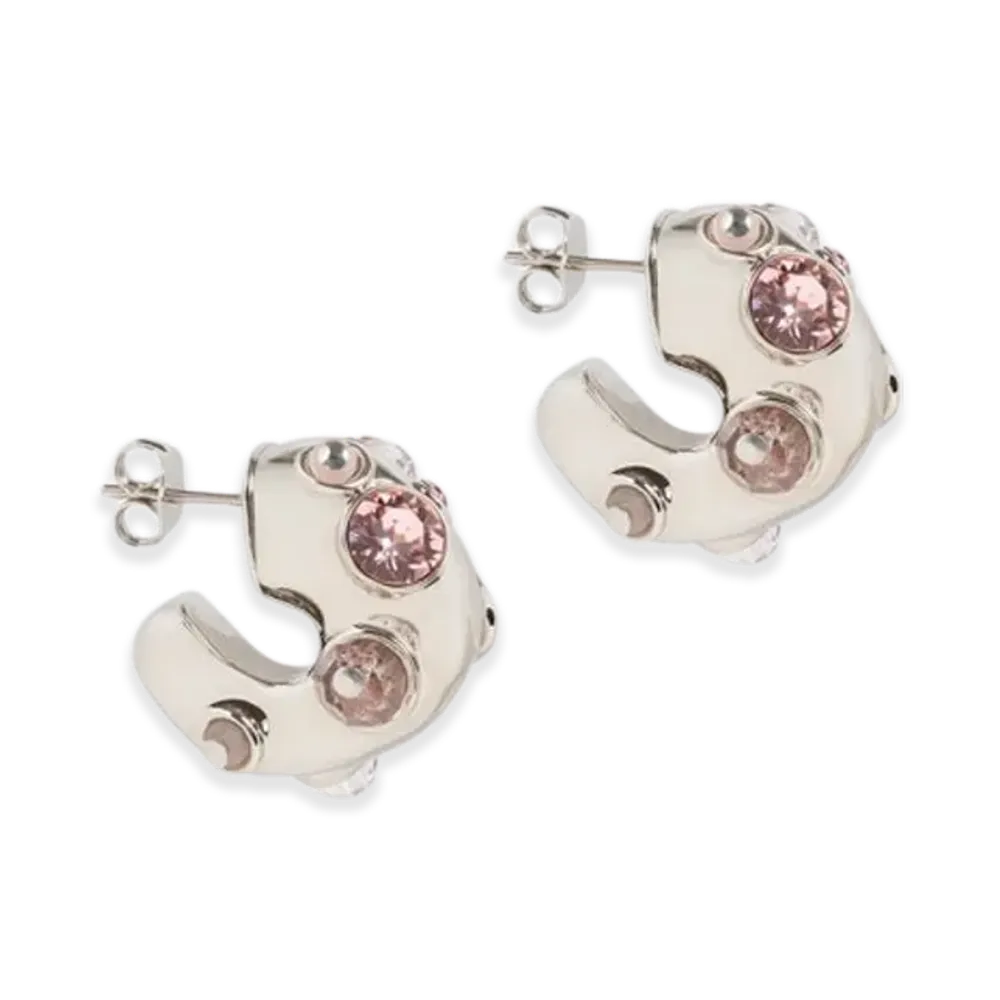 DRIES VAN NOTEN Women's Loop Earrings "Pink"