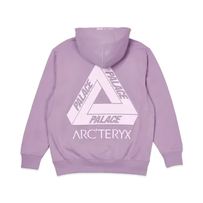 PALACE / Arc'Teryx Alpha Hood "Pink" P19ARXHD005